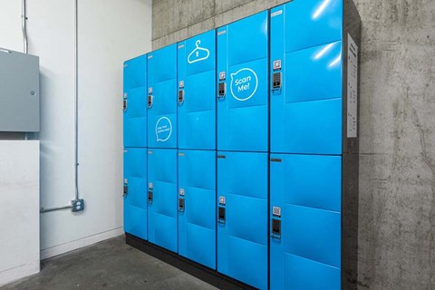 Dry Clean Lockers